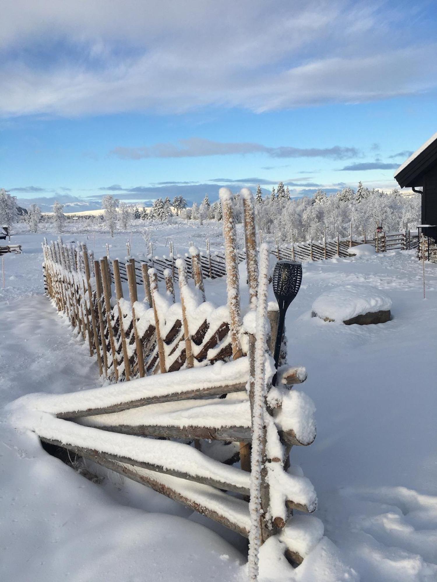 New And Cozy Family Cabin On Golsfjellet Exteriér fotografie
